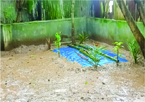 Image of মো: শাকিল হাসান
